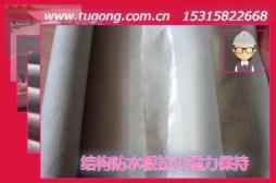 結(jié)構(gòu)防水板拉力強(qiáng)力保持