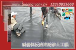 堿骨料反應(yīng)池防滲土工膜
